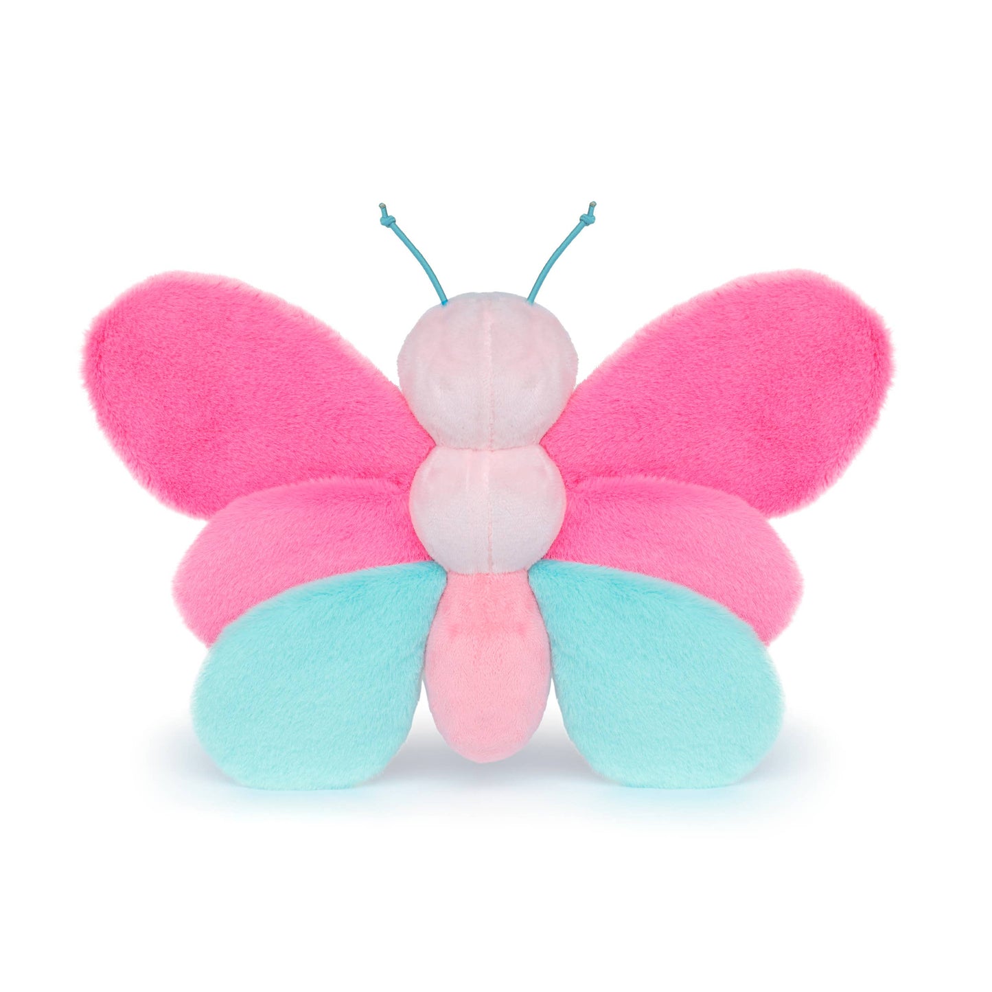 Little Aurora Butterfly | COMING SOON