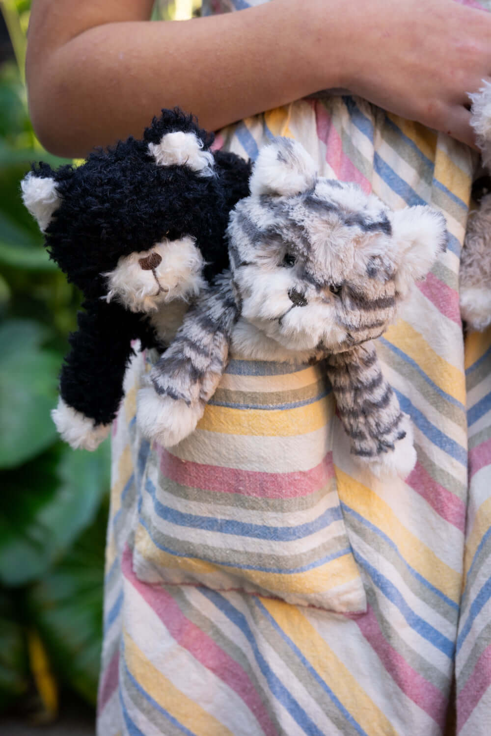 Checkers the Kitten Black