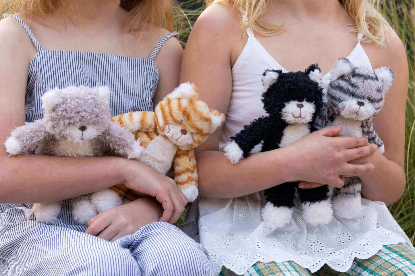 Checkers the Kitten Grey