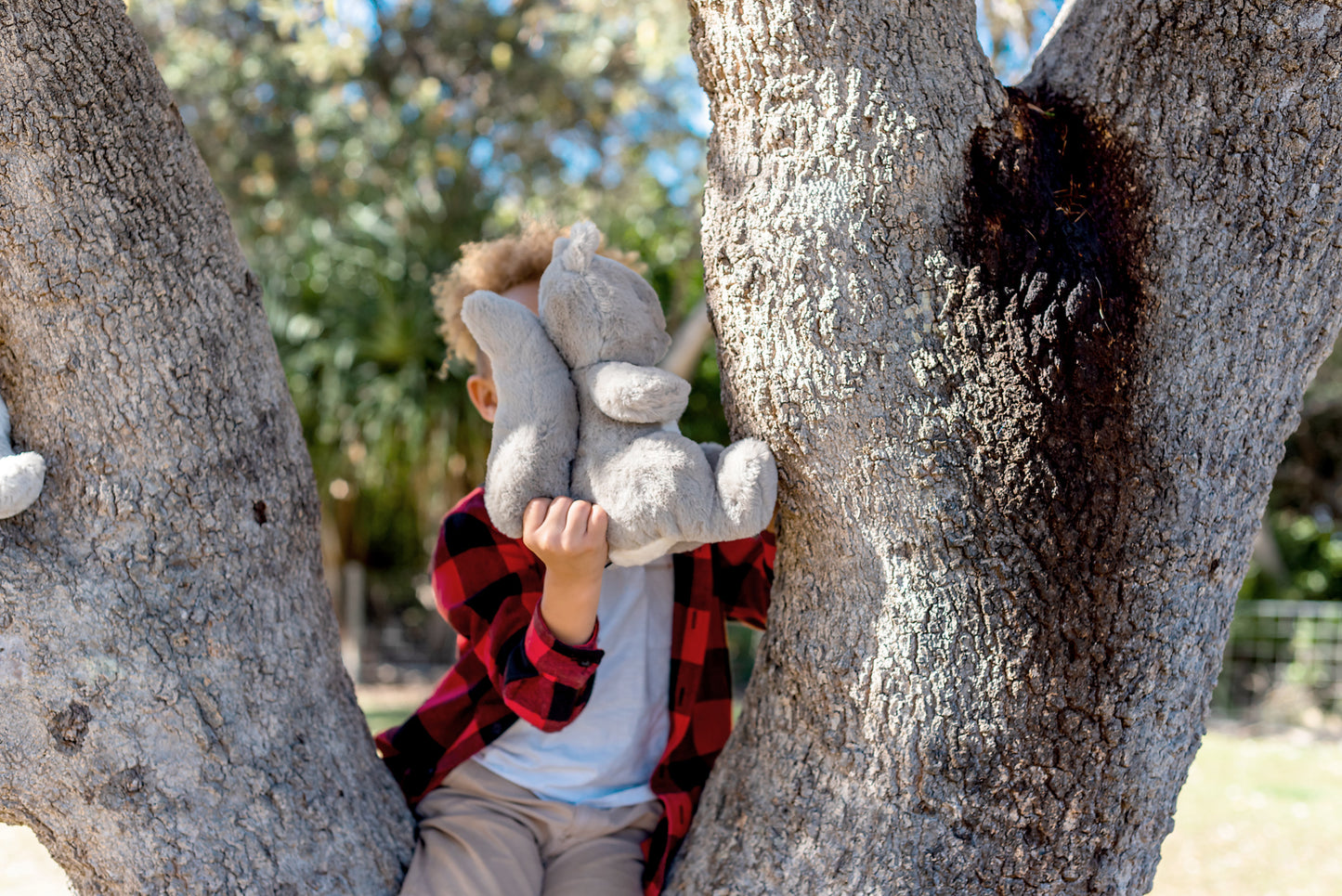 Sadie Squirrel