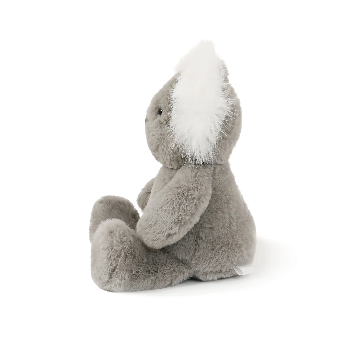 Little Kobi Koala
