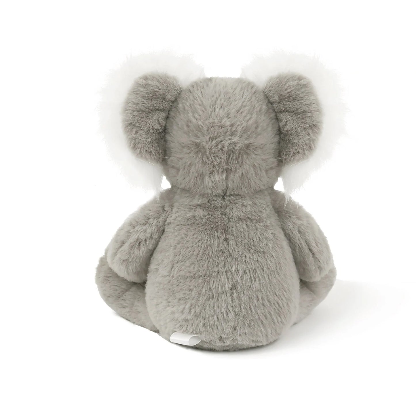 Little Kobi Koala