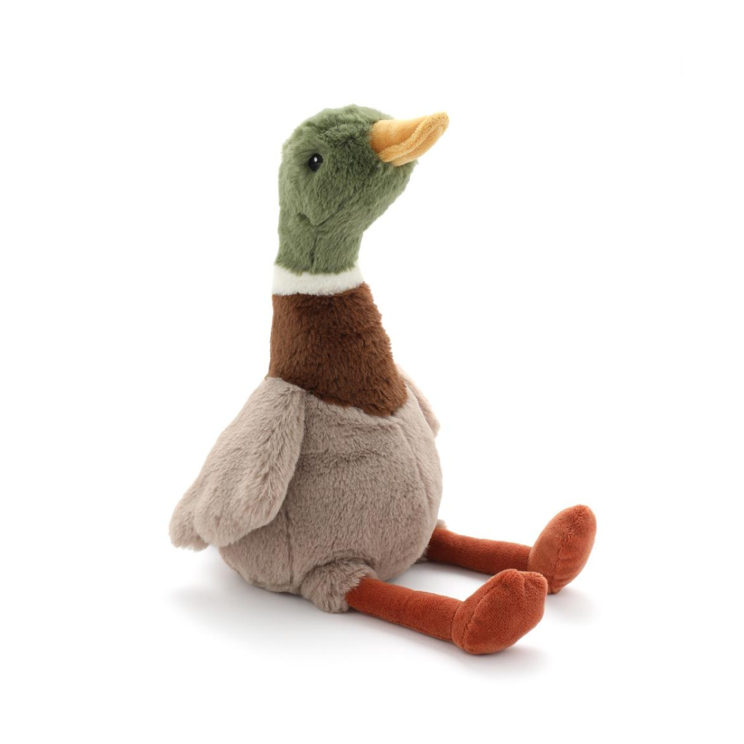 Hugo the Mallard Duck
