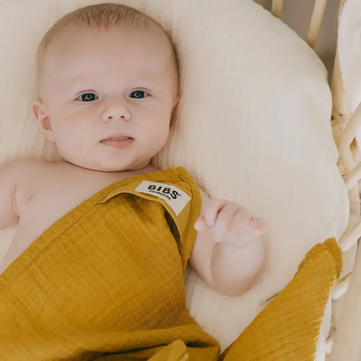 Muslin Cloth Set - Mustard