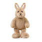 Little Kip Kangaroo