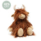 Henry the Highland Cow
