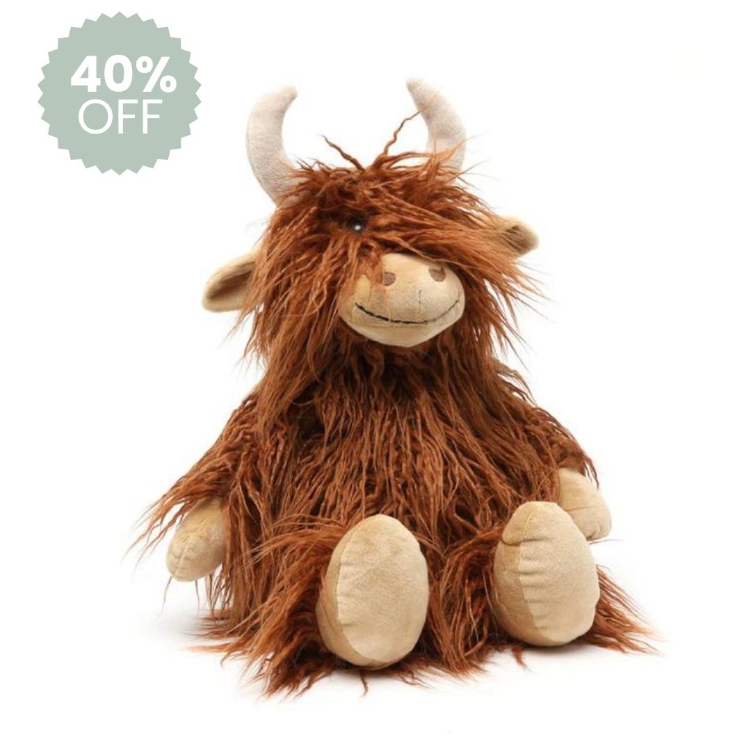 Henry the Highland Cow