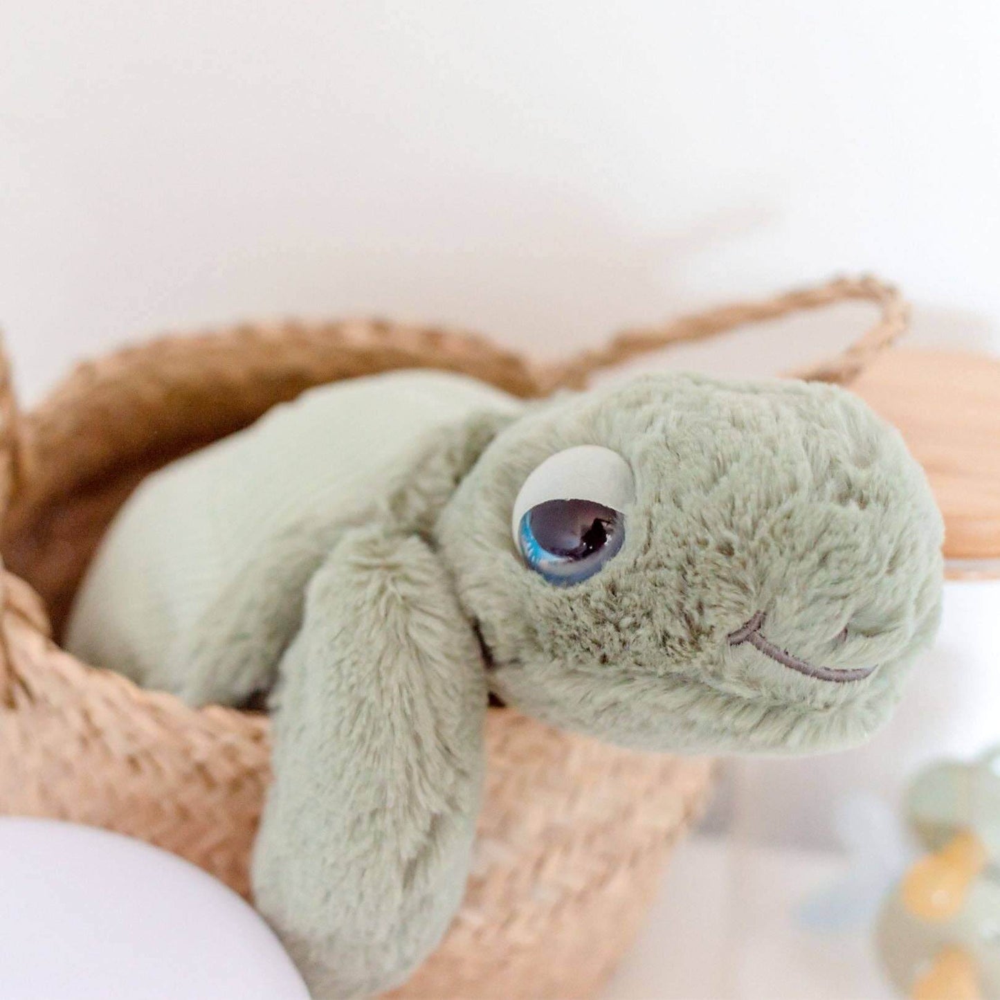 Tyler Turtle