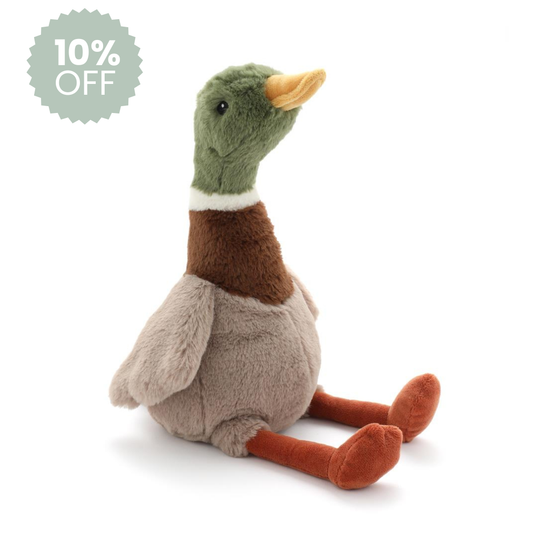 Hugo the Mallard Duck