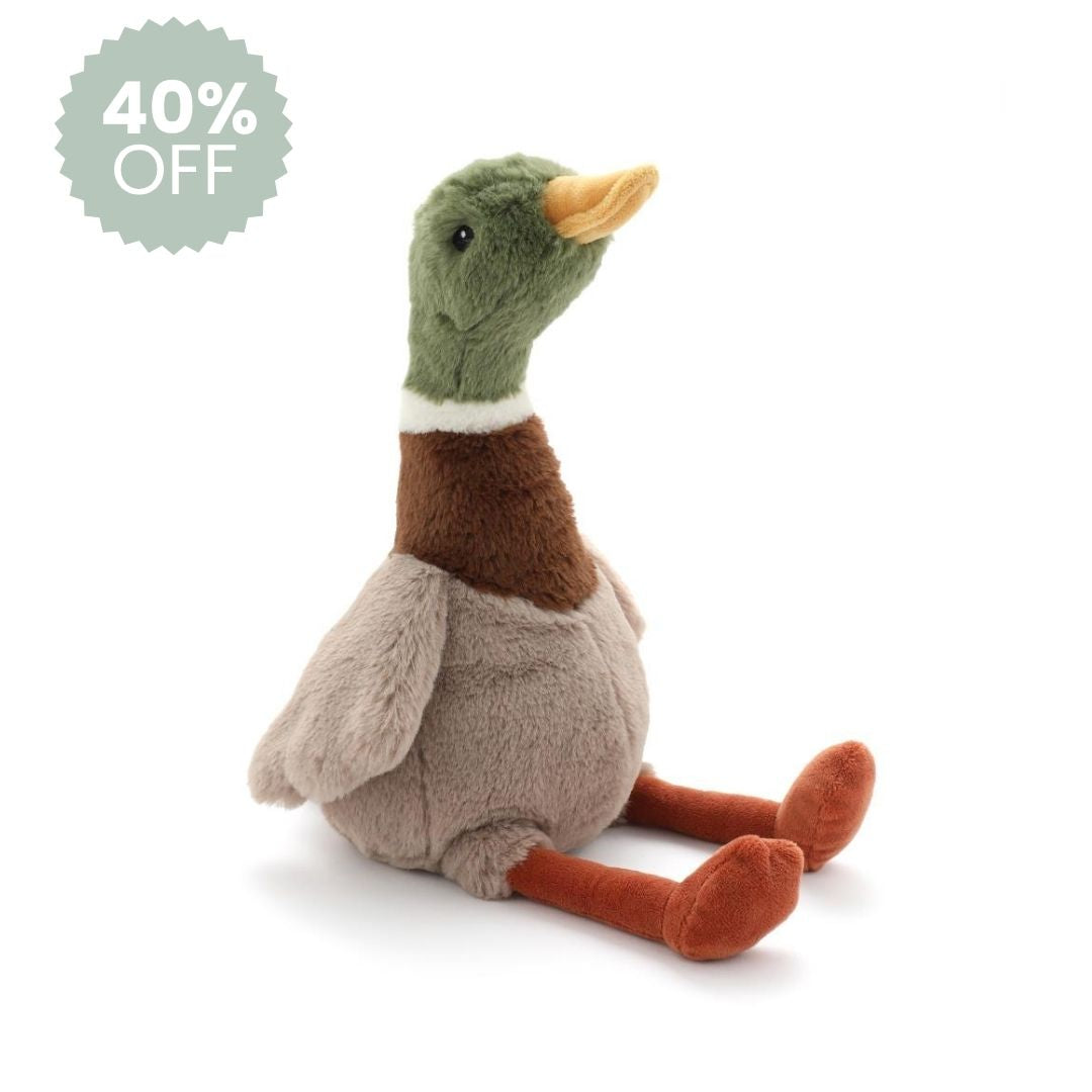 Hugo the Mallard Duck