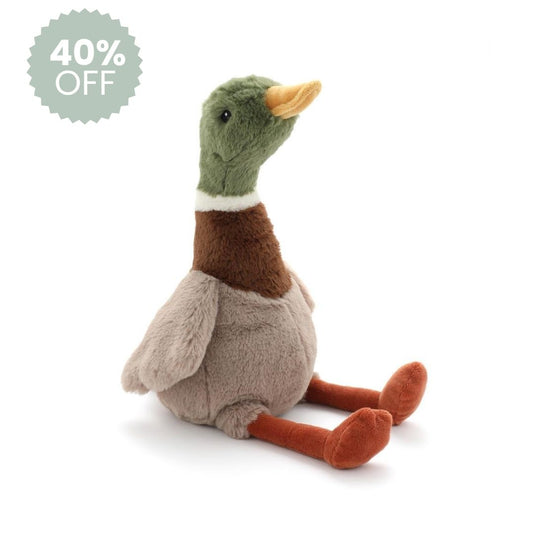 Hugo the Mallard Duck