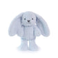 Little Baxter Bunny Blue