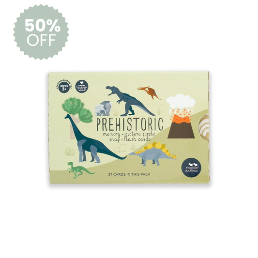 Prehistoric Snap And Memory Game