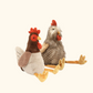 Rupert & Randy Rooster Set