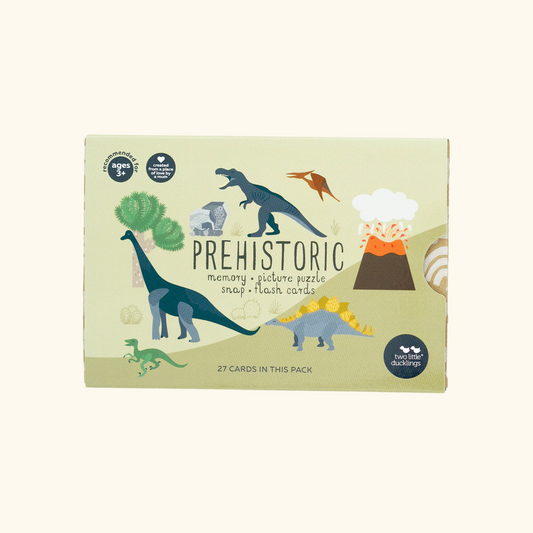 Prehistoric Snap And Memory Game