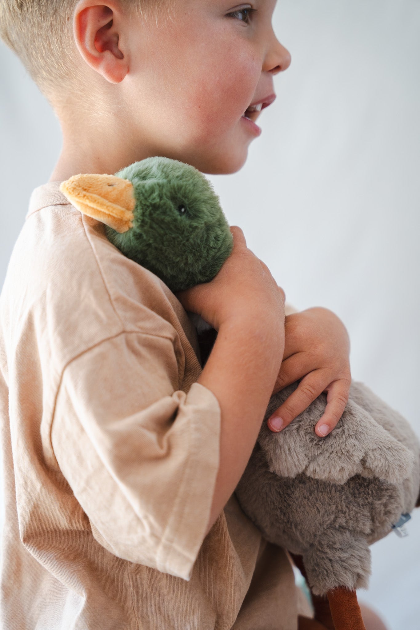 Hugo the Mallard Duck