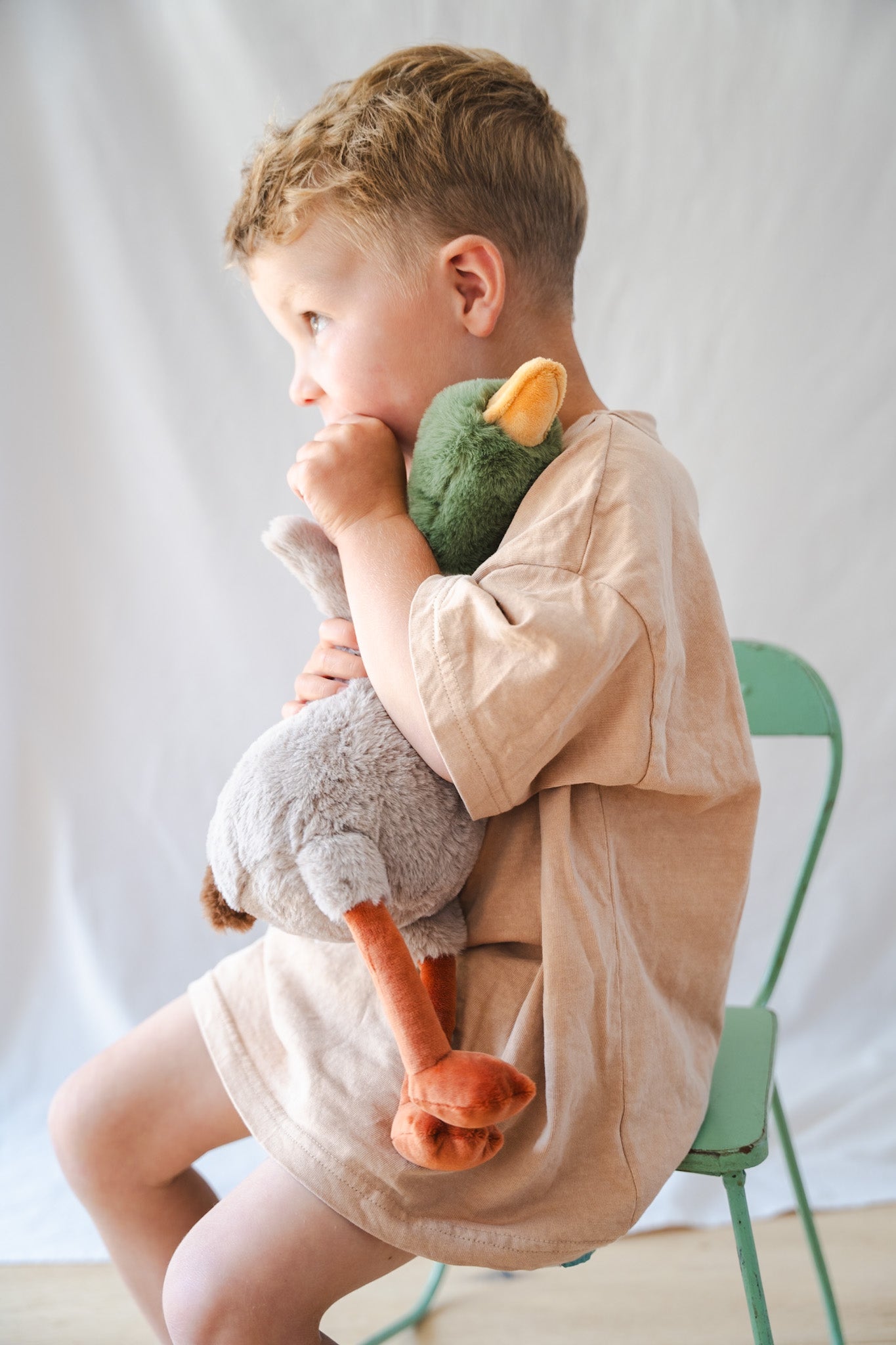 Hugo the Mallard Duck