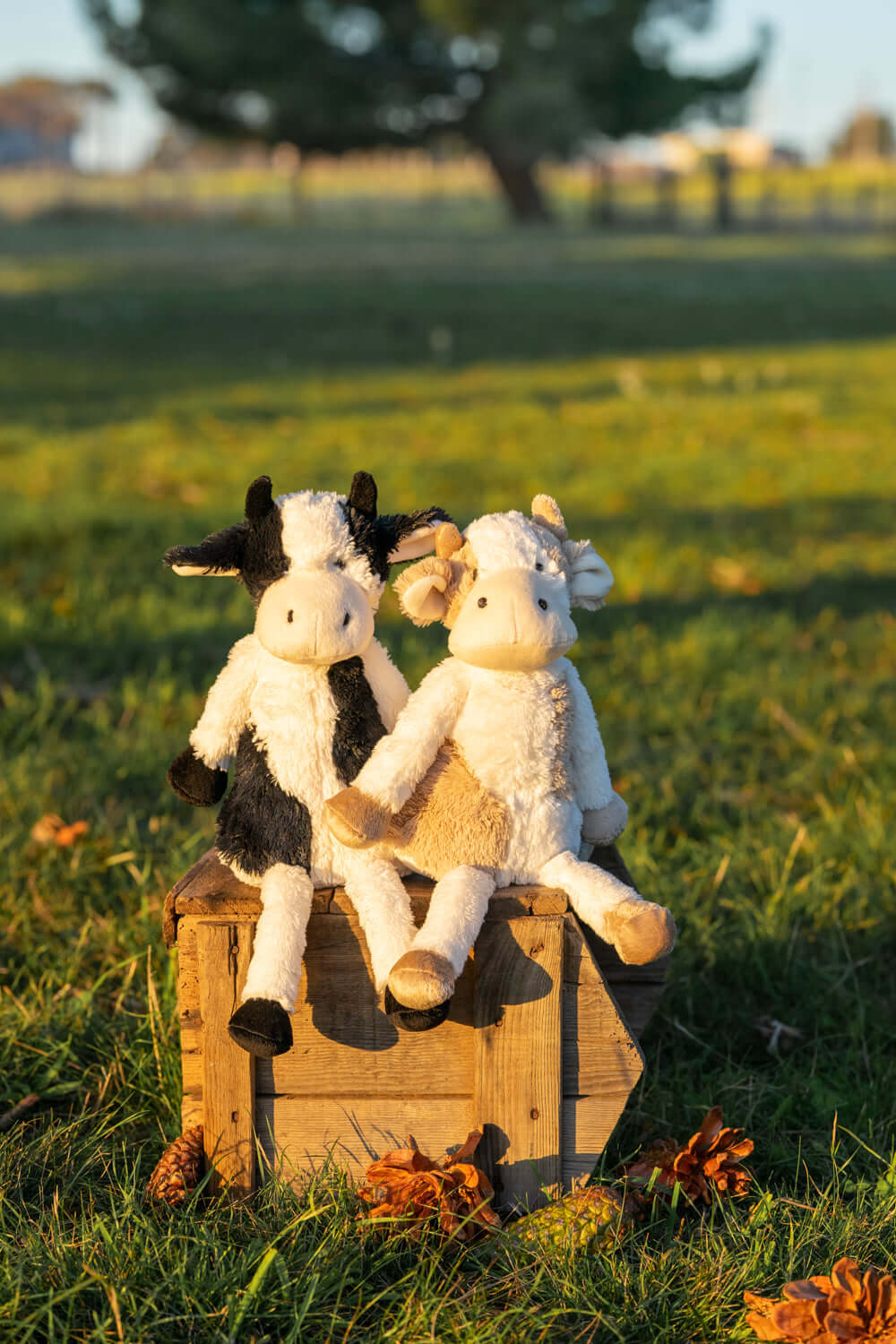 Clover Cow - Beige