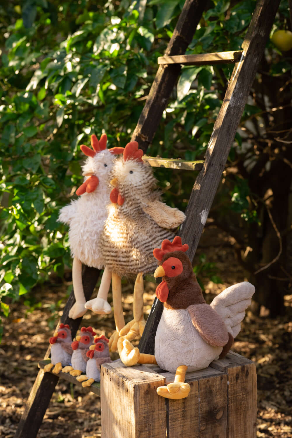 Rupert, Roy & Randy The Rooster Set