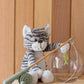 Chloe the Cat