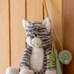 Chloe the Cat