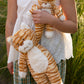 Ginger the Cat
