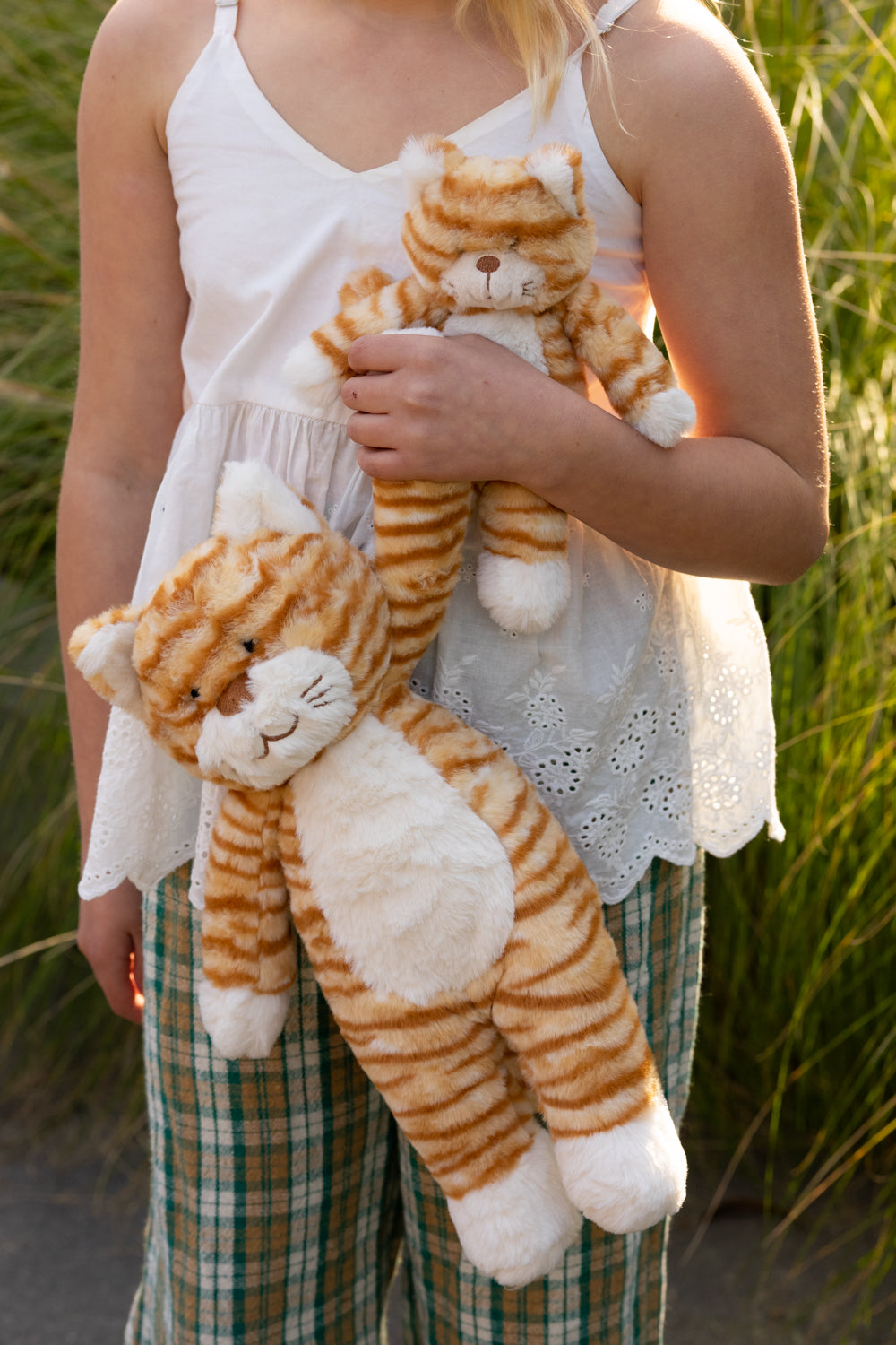 Ginger the Cat