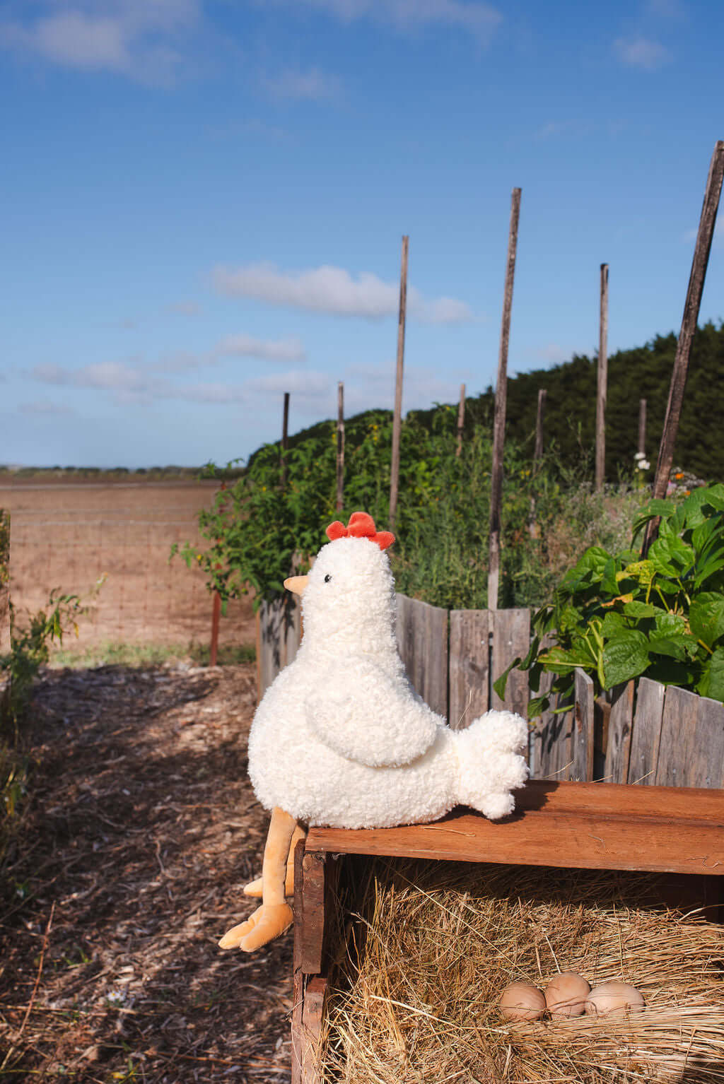 Nana Huchy soft plush toy – Henrietta the Hen by Arch & Ted