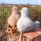 Nana Huchy soft plush toy – Henrietta the Hen by Arch & Ted