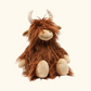 Henry the Highland Cow