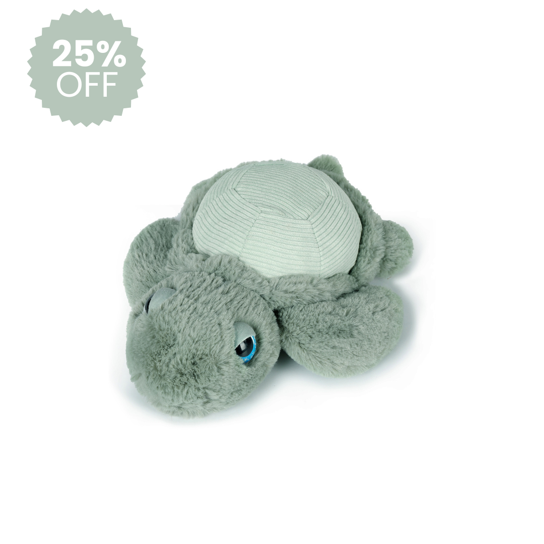 Little Tyler Turtle