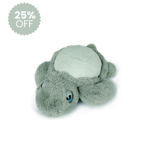 Little Tyler Turtle