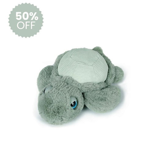 Little Tyler Turtle