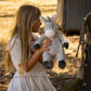 Harvey The Horse & Diego The Donkey Set