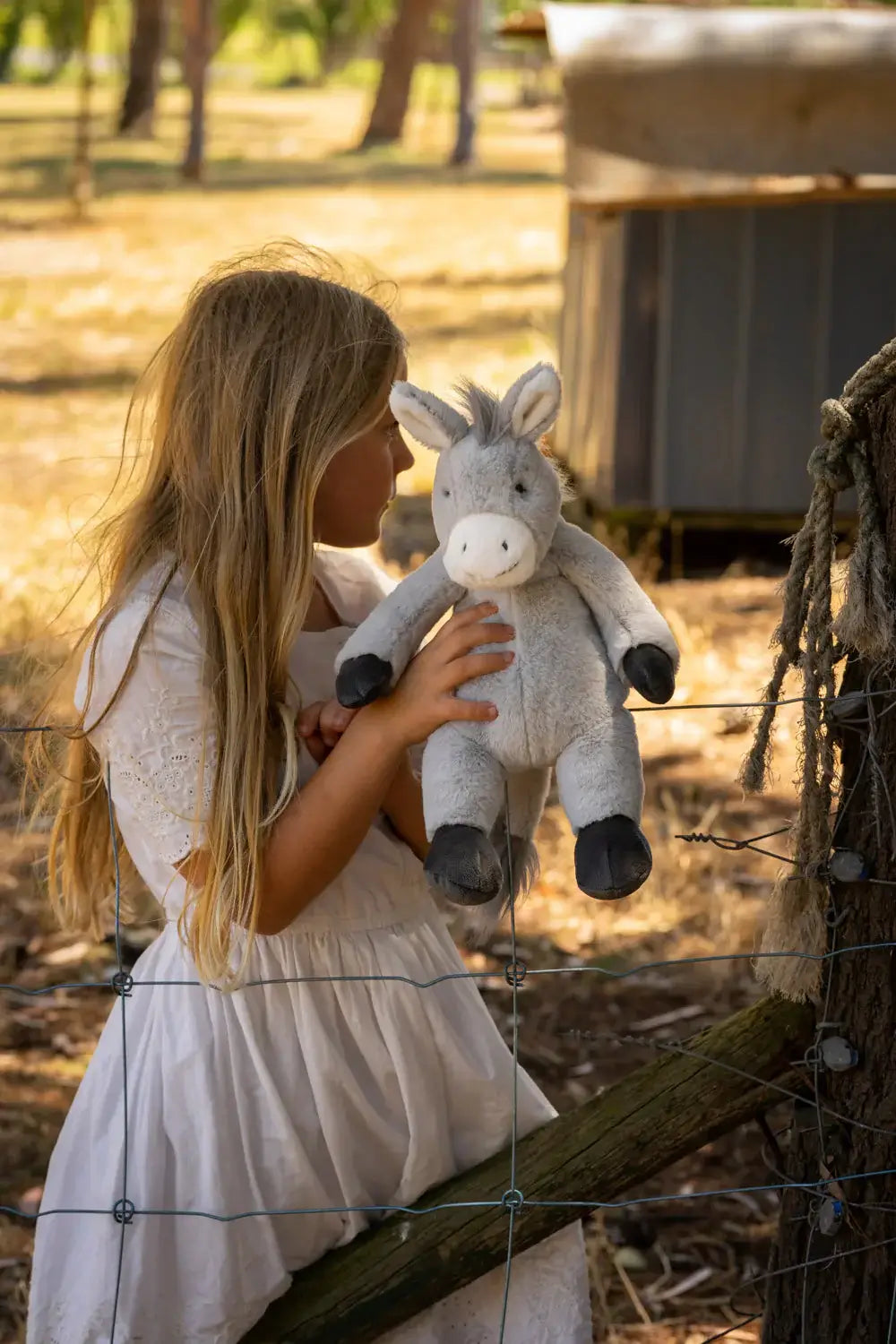 Harvey The Horse & Diego The Donkey Set