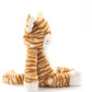 Ginger the Cat